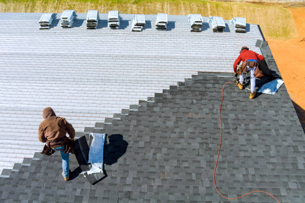 Best Roof Leak Repair  in Hallandale Beach, FL