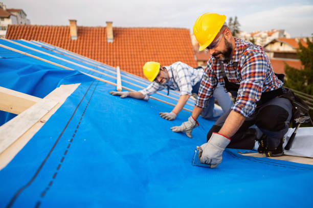 Best Roof Leak Repair  in Hallandale Beach, FL