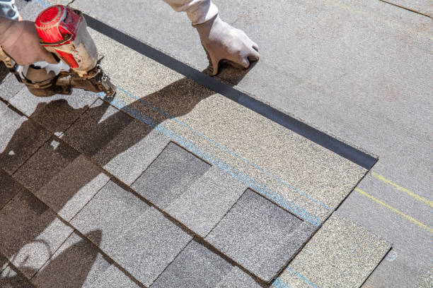 Quick and Trustworthy Emergency Roof Repair Services in Hallandale Beach, FL
