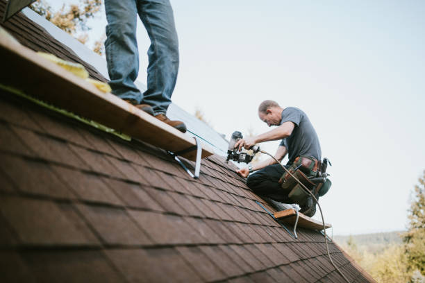 Roof Repair Estimates in Hallandale Beach, FL