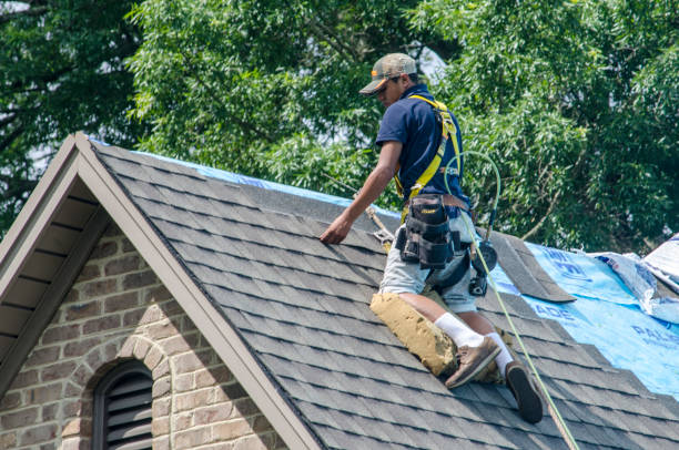 Roof Installation Near Me in Hallandale Beach, FL